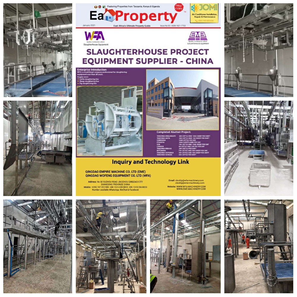 1649133994208728.jpg 2021032908025264-scaled.jpg