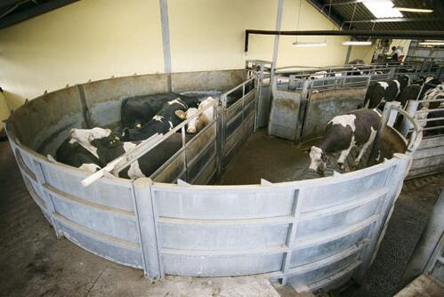 1689662238122057.jpg O}{}X_@@BH@V85N}5J@NU94.jpg