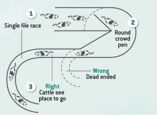 1689662341203346.png 9E27POL_O){F@Y11L$(N~%V.png