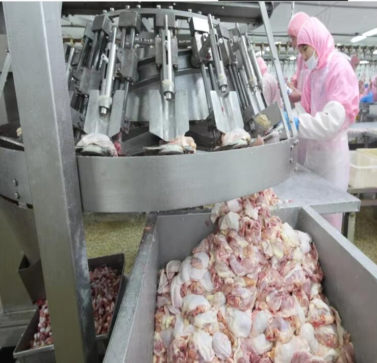 Professional Chicken Leg Drumstick Thigh De-Boning Machine for Slaughterhouses