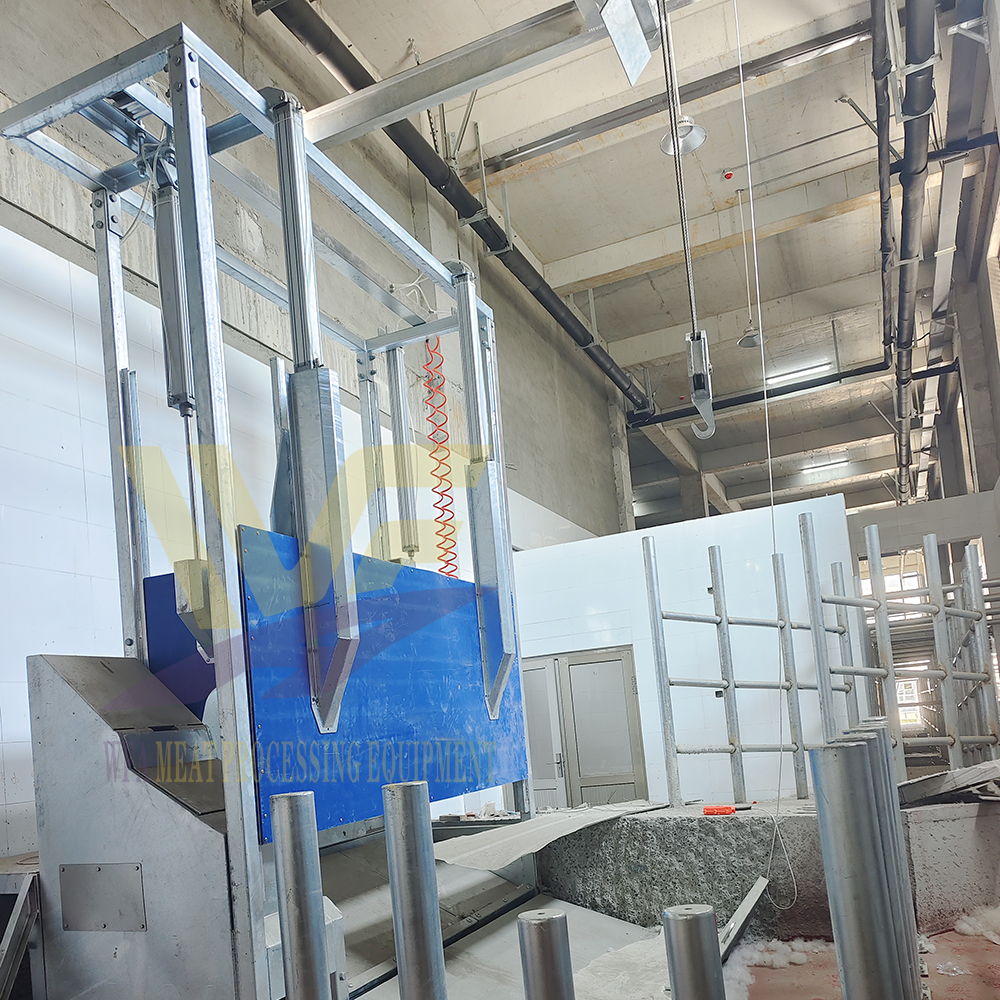 Beef Slaughterhouse Cow Stunning Box Butcher Equipment