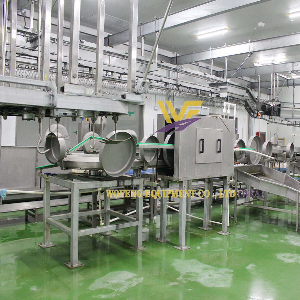 Sheep Abattoir Equipment Lamb Offal Quarantine Conveyor Slaughterhouse