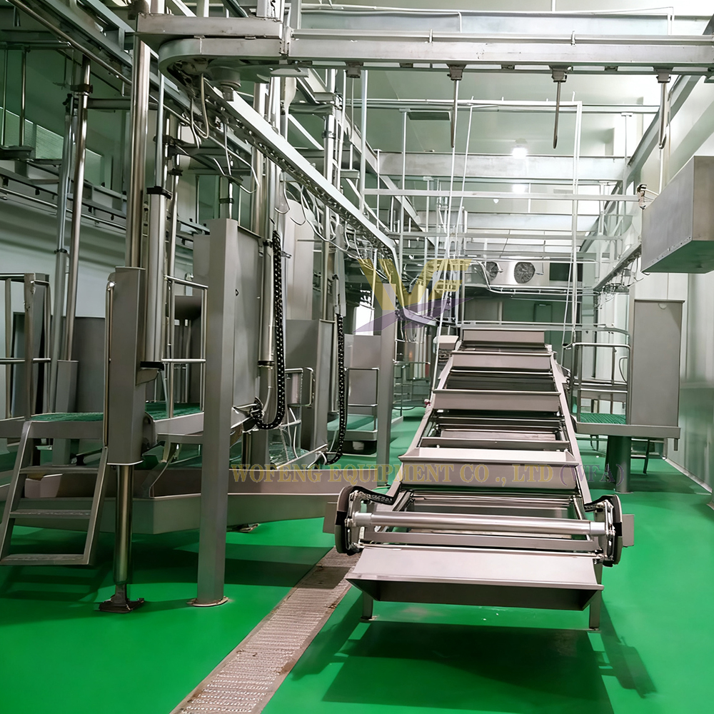 Slaughter Machines Offal Conveyor Inspection System Butcher Equipment