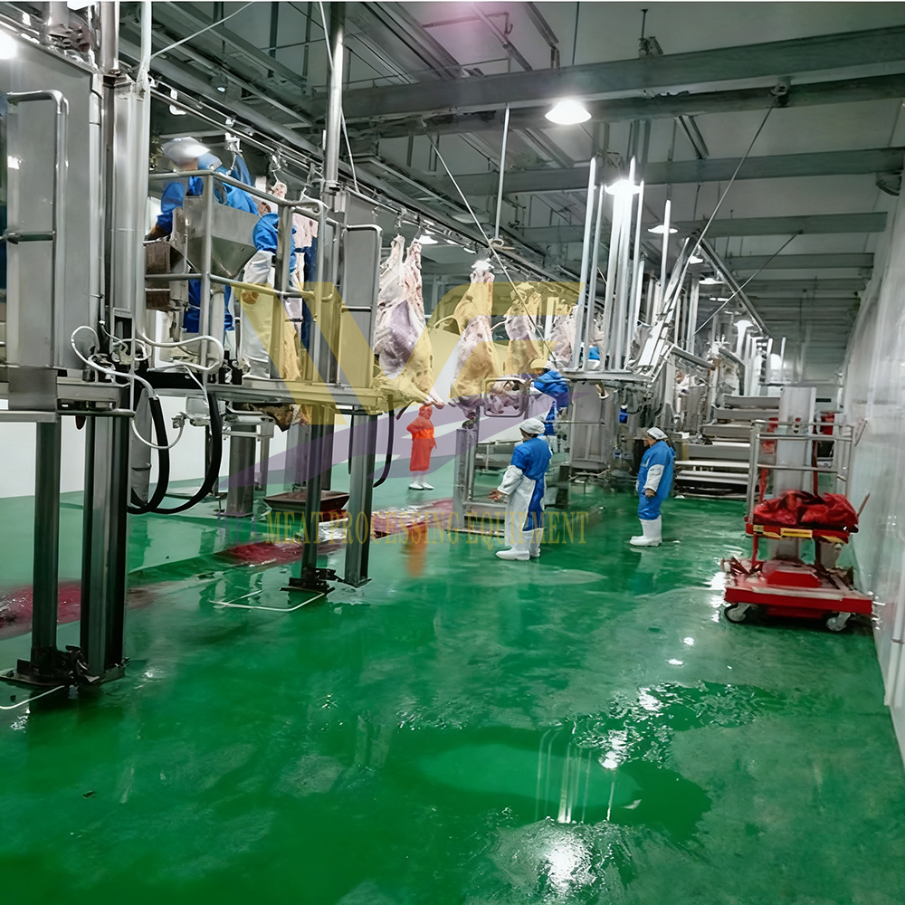 Beef Processing Project Facility for Cattle Slaughterhouse Plant