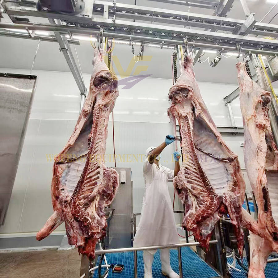 Slaughter House Equipment Cattle Carcass Chilling And Boneless Plant