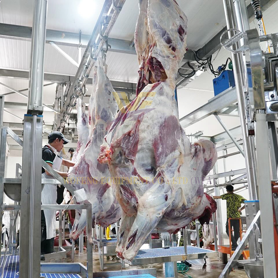 Cattle Carcass Processing Equipment For Abattoir Plant
